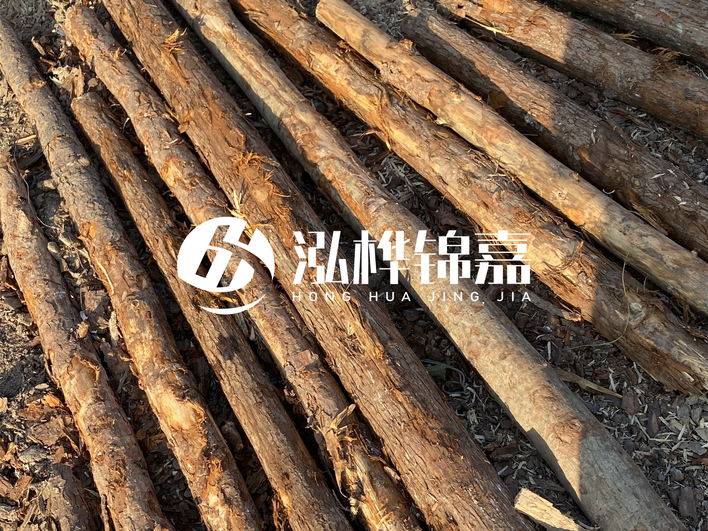 河道木樁多少錢(qián)一根？河道木樁的使用以及保養(yǎng)方法?