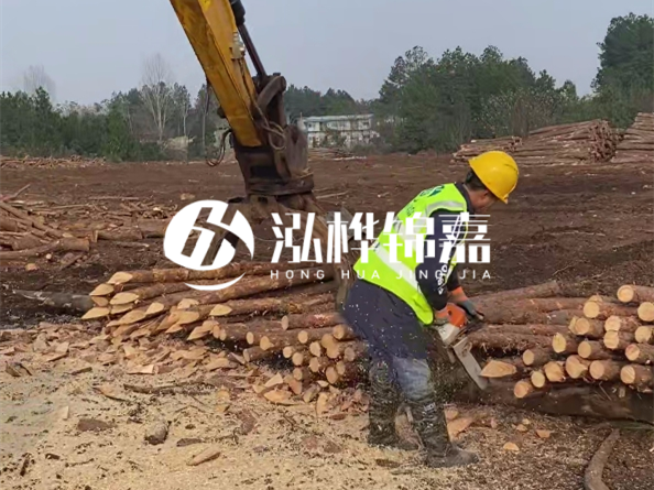 松木樁施工隊(duì)泓樺錦嘉 - 松木打樁在水里管幾年？