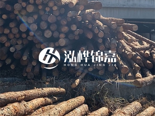 松木樁施工隊泓樺錦嘉 - 為什么要進(jìn)行河道護坡？